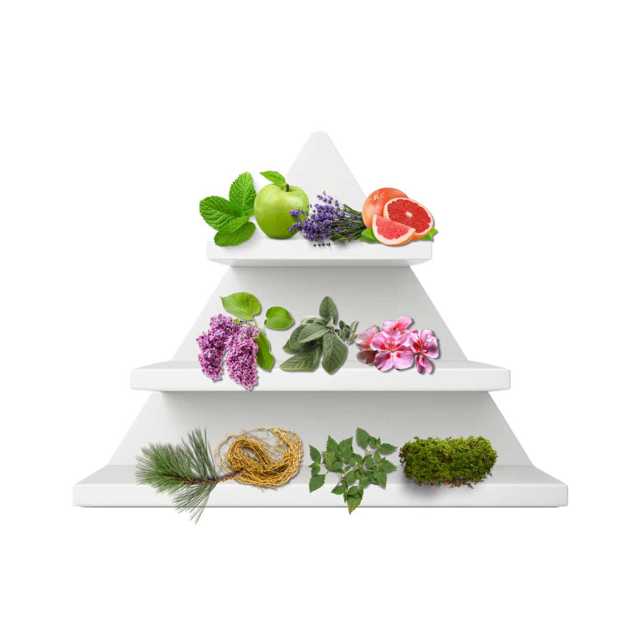 Cologne Heritage Duftpyramide